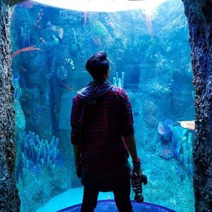 Meet your Posher, Clarence